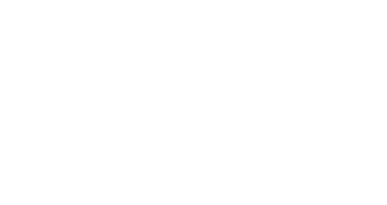 Island Vip Concierge Hosts